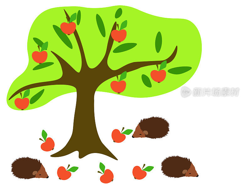 刺猬和红苹果在花园里的树下。可爱刺猬家庭秋季果园种植园，矢量eps 10